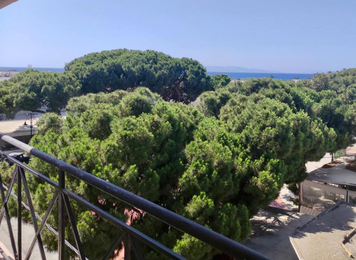 Casa Amalia *